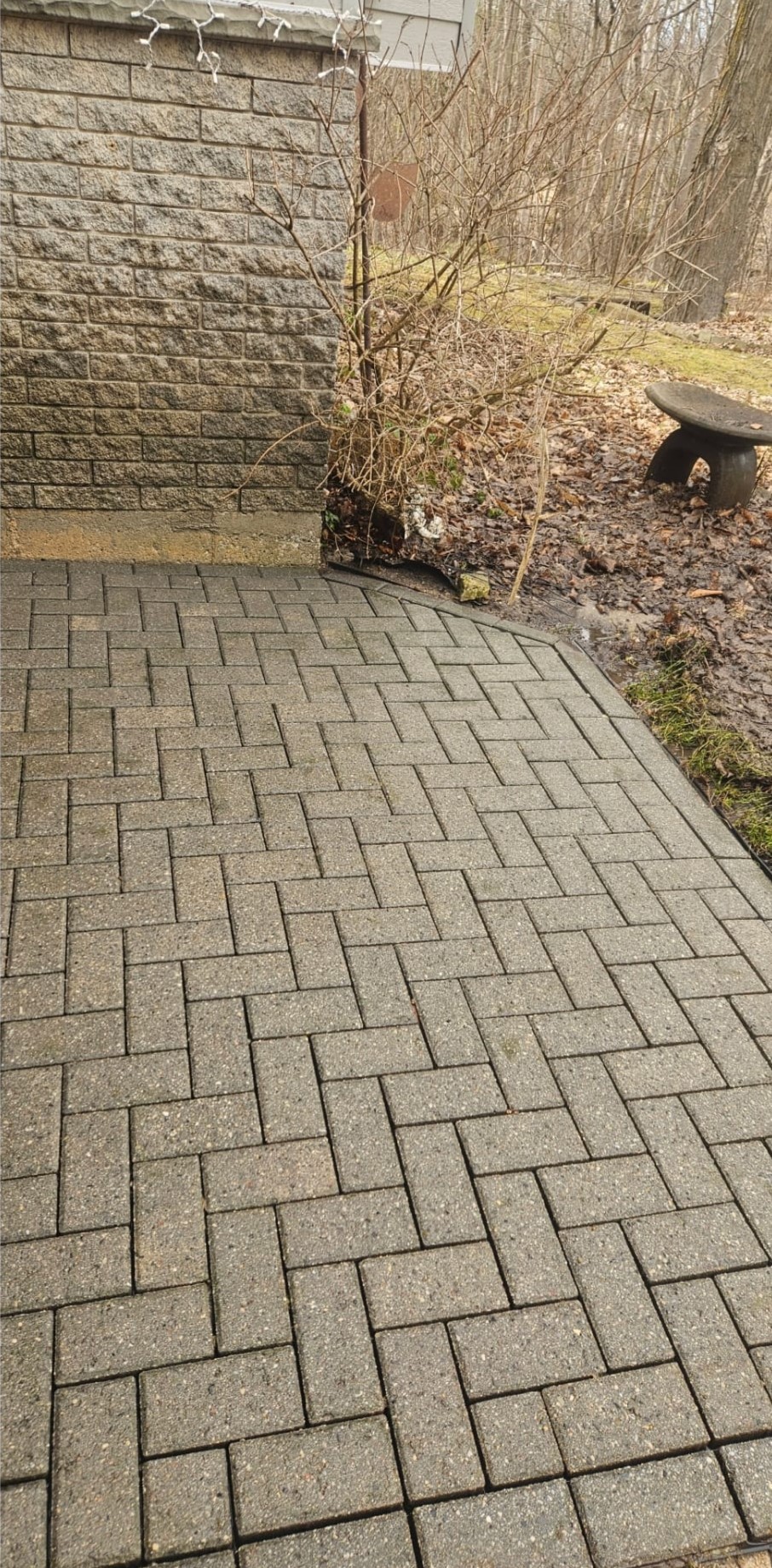 Pressure washing project 4