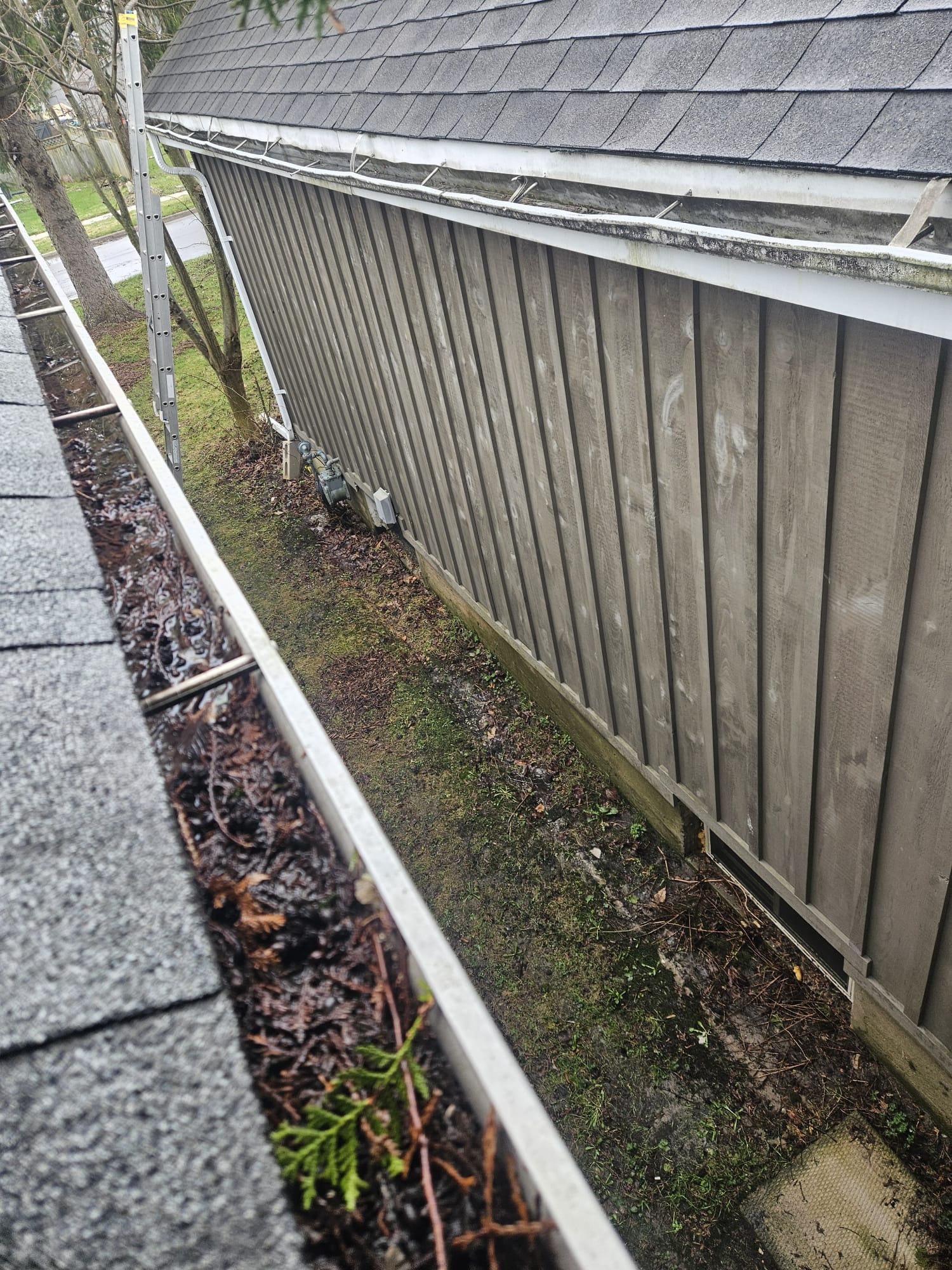 Roof washing project 2